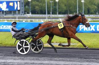 Arrivée et rapports du Quinté+ du vendredi 15 mai : Max Occagnes de bout en bout