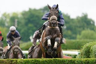 Mardi à Auteuil - Prix Richard et Robert Hennessy : Analyse et conseil de jeu