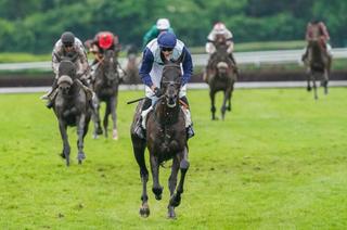 Mardi à Auteuil - Prix The Fellow - Marquise de Moratalla : Analyse et conseil de jeu