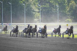 Samedi à Vincennes - Prix Jacques de Vaulogé - Critérium 3 ans Q3 (Gr. 2) : Analyse et conseil de jeu