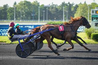 Arrivée et rapports du Quinté+ du mardi 26 mai à Vincennes : Léontine Cash s’impose sur le fil