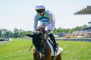 Shrihara, l’outsider séduisant du Quinté+ du dimanche 6 septembre à Longchamp