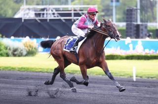 Vendredi à Vincennes - Prix Camille de Wazières (Gr. 2) : Favori/Outsider