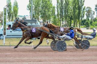 Arrivée et rapports du Quinté+ du lundi 1er juin : Imperator d'Em s'impose d'entrée de jeu pour son nouvel entraînement