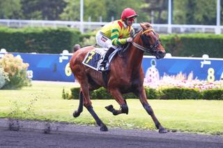 Vendredi à Enghien - Prix Guillaume de Bellaigue (Gr. 3) : Analyse et conseil de jeu