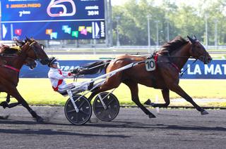 L'analyse des cotes du Quinté+ du mercredi 29 Juillet à Enghien