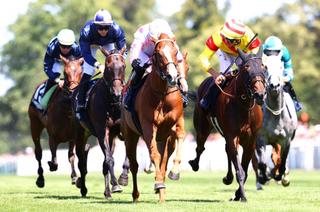 Arrivée et rapports du Quinté+ du dimanche 14 juin à Chantilly : Wapi double la mise