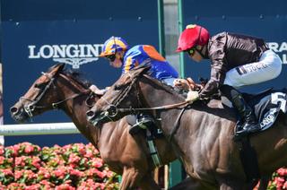 Prix de Diane Longines : Diamond Necklace couronnée