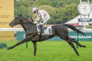 Black Ultra, l'outsider séduisant du Quinté+ du jeudi 23 juillet