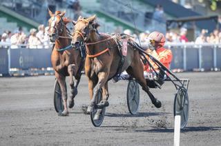 Samedi à Vincennes - Prix Annick Dreux - Critérium 3 ans Q4 (Gr. 2) : Analyse et conseil de jeu