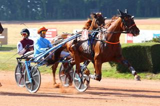 Jockey, la base solide du Quinté+ de ce vendredi 7 août