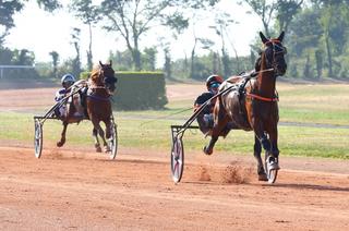 Quinté+ du samedi 11 juillet à Enghien : Analyse et décryptage de la course de réf