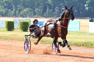 Know Ever, la base solide du Quinté+ du samedi 11 juillet à Enghien