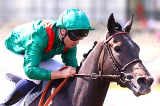 Dimanche à Chantilly - Prix Messidor (Gr.3) : Analyse et conseil de jeu