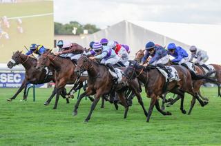 Quinté+ du samedi 1er août à Clairefontaine : analyse et décryptage de la course de réf