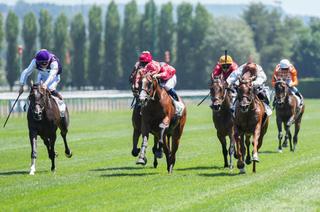 Dimanche à Deauville - Barrière Prix Quincey (Gr. 3) : Favori/Outsider
