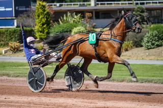 Mardi à Vincennes : Prix Emile Béziere (Gr.3) - Favori/outsider