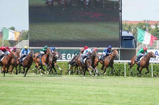 Quinté+ du mardi 13 octobre à ParisLongchamp : Analyse et décryptage de la course de réf