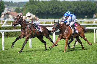 Freerider, l’outsider séduisant du Quinté+ du samedi 1er août à Clairefontaine