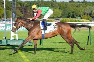 Alabama Moon, l’outsider séduisant du Quinté+ de ce dimanche 16 août