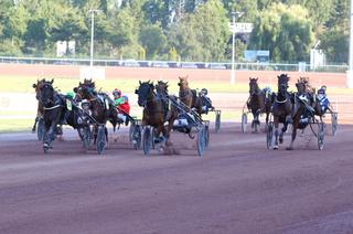 Quinté+ du vendredi 7 août à Cabourg : Analyse et décryptage de la course de réf