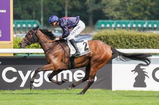 Elusive Way la base solide du Quinté+ du lundi 31 août