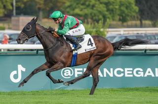 Quinté+ du dimanche 23 août à Deauville : Gerard Ter Borch ne va pas décevoir