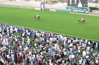L'analyse des cotes du Quinté+ du dimanche 6 septembre à Paris-Longchamp