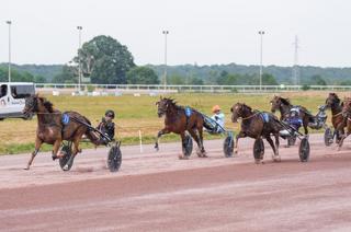 Quinté+ du vendredi 31 juillet à Cabourg : Analyse et décryptage de la course de réf