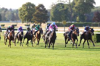 Quinté+ du dimanche 16 août à Deauville : analyse et décryptage de la course de réf