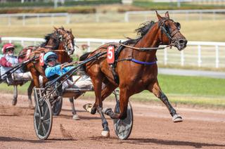 Samedi à Enghien : Le grand 7 et un record pour Nebraska de Genier