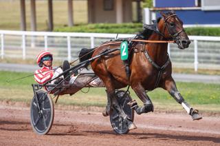 Samedi à Enghien - Prix de Milan : Mack de Blary reprend sa marche en avant