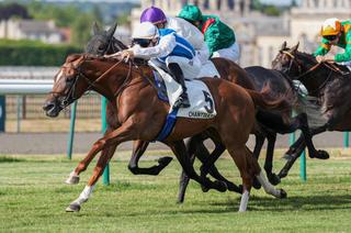 Dimanche à Chantilly - Prix Messidor (Gr. 3) : Silius dans son jardin !
