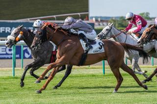 Strako, l’outsider séduisant du Quinté+ de ce mardi 11 août à Deauville