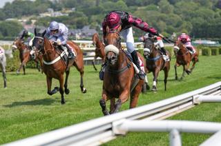 Quinté+ du lundi 17 août : analyse et décryptage de la course de réf