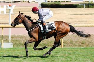 Quinté+ du jeudi 13 août à Deauville : Memory change de surface