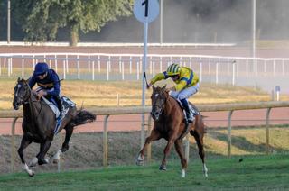 Mighty Boy, l’outsider séduisant du Quinté+ du mardi 25 août à Deauville
