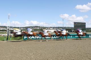 L'analyse des cotes du Quinté+ du jeudi 13 août à Deauville
