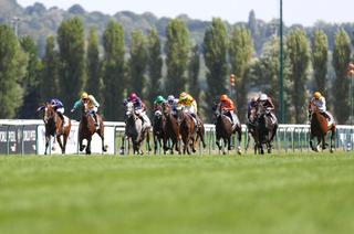 Quinté+ du mardi 1er septembre : analyse et décryptage de la course de réf