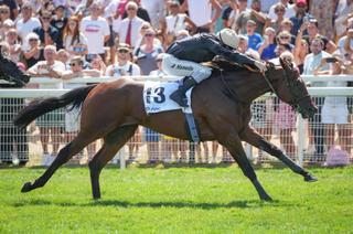 Big Log, la base solide du Quinté+ du dimanche 13 septembre à Longchamp