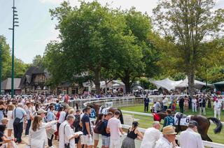 Quinté+ du lundi 19 octobre à Deauville : Analyse et décryptage de la course de réf