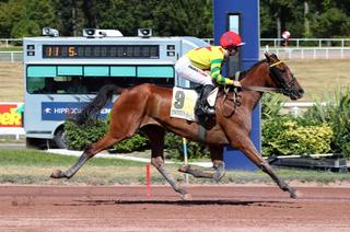 Mardi à Vincennes - Prix Camille Lepecq (Gr. 2) : Favori/Outsider