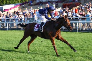 Persian Grace, l’outsider séduisant du Quinté+ du jeudi 24 septembre à Compiègne