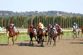 Quinté+ du jeudi 27 août : Analyse et décryptage de la course de réf