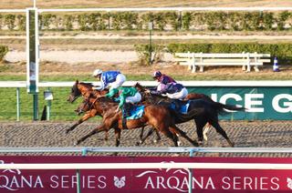Shanour, la base solide du Quinté+ du jeudi 3 septembre à ParisLongchamp