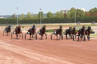 Quinté+ du samedi 29 août à Vincennes : Analyse et décryptage de la course de réf
