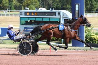 Prix Louis Jariel - Critérium 5 Ans Q1 : Lovino Bello en patron