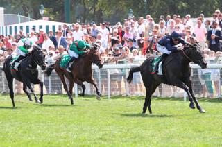 The Aga Khan Studs Prix François Boutin : Avec Toi succède à Rayif