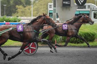 Prix Jacques de Vaulogé - Criterium 3 ans Q3 : Nat King Cole place une accélération décisive