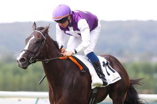 Muenchen, la base solide du Quinté+ de ce mardi 13 octobre à ParisLongchamp
